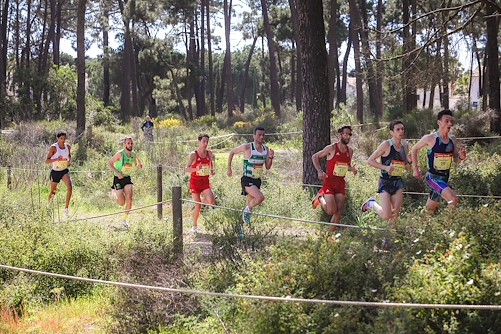 Cross Internacional das Amendoeiras em Flor in Albufeira, Algarve desporto albufeira cross20amendoeiras.jpg