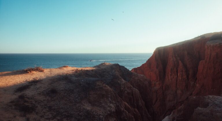 Birdwatching in the Algarve: Sites, Seasons & Sagres